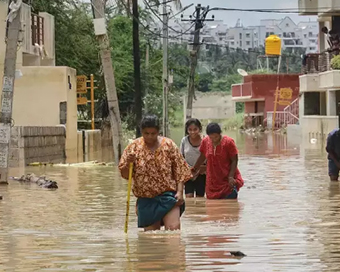 Karnataka rain fury: Photos of flooded streets, uprooted trees